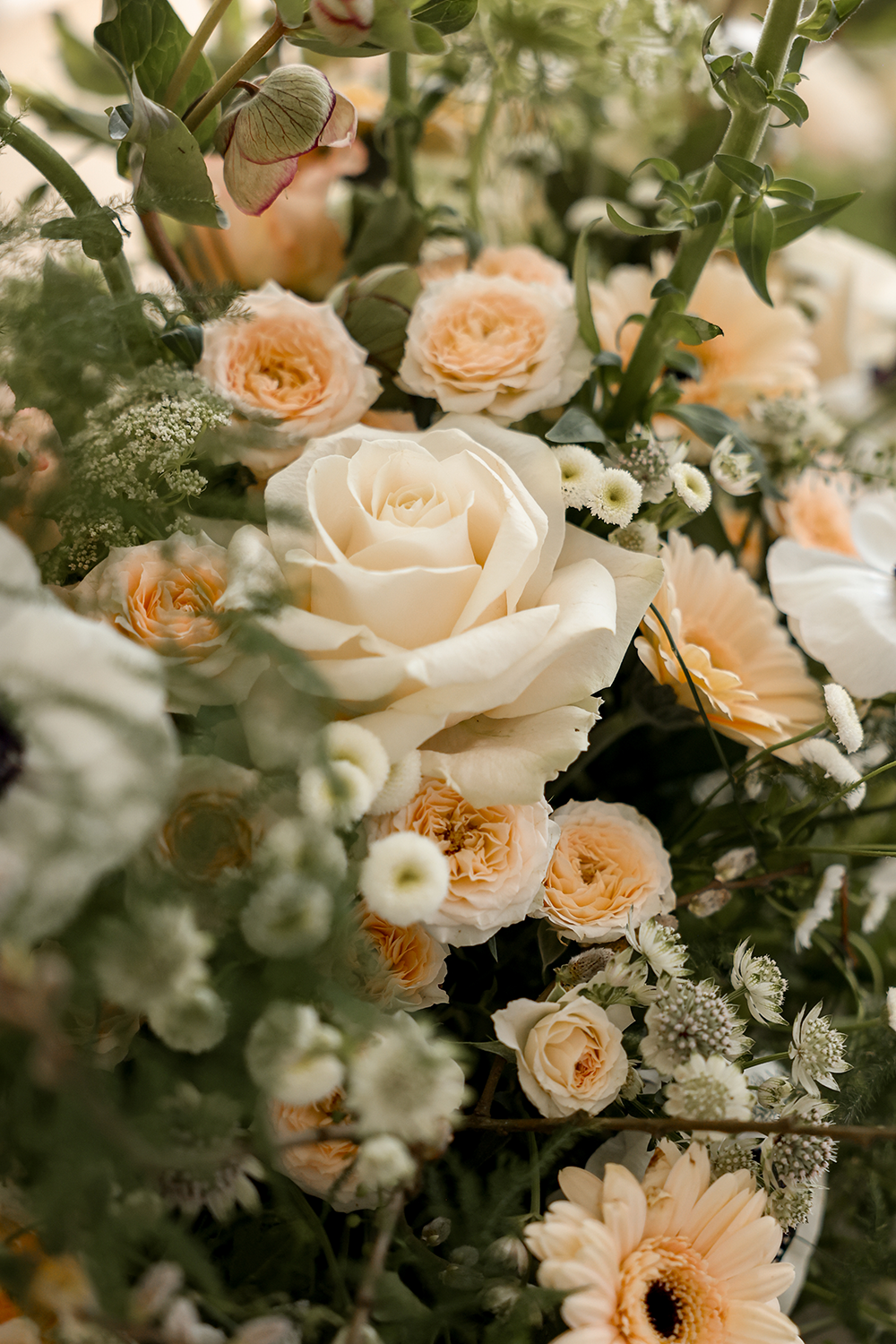 2024-mini wedding-56